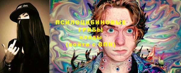 МДПВ Алексин