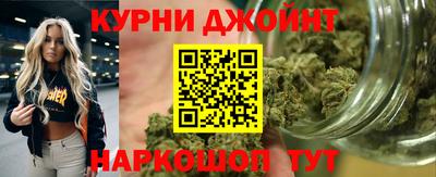 индика Шебекино