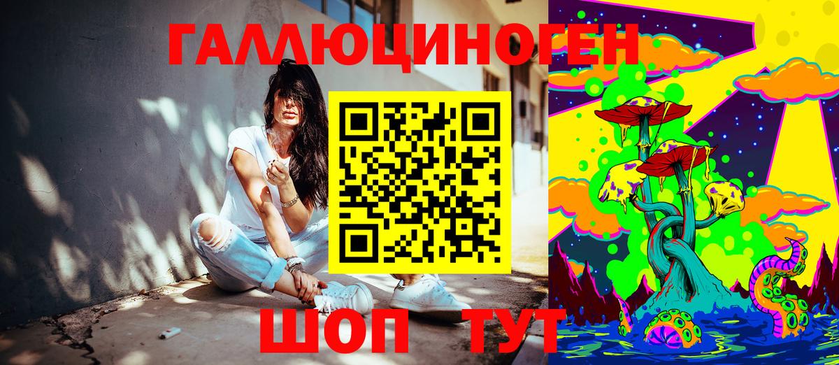 Галлюциногенные грибы Psilocybe Усть-Лабинск